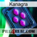 Kanagra 04